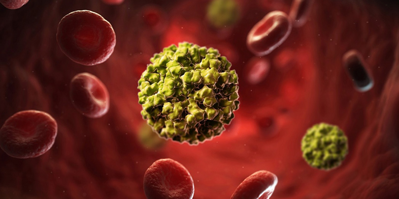 Novovirus