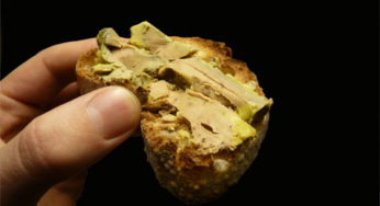 700 mini-terrines de foie gras à la listéria