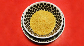 Toxic rice noodles