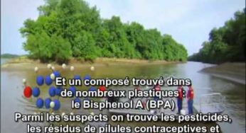 Bisphenol A, Fred Vom Saal