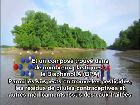 Bisphenol