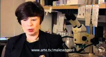 Les perturbateurs endocriniens ont envahi notre quotidien