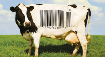 Food, Inc..
