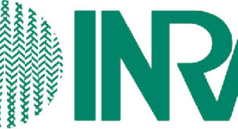 INRA