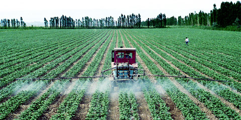 Métaux en tant que contaminants dans les aliments