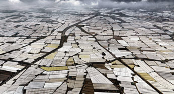 Industrialization of organic