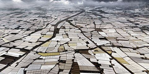 L’industrialisation