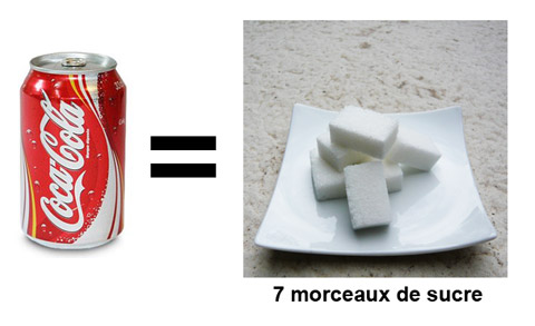 Canette de Coca-Cola équivalent en morceaux de sucre