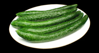 Cucumbers : the France is more spared ?