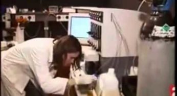 Pollution de l’eau par des médicaments