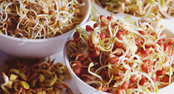 E. coli : germinated seeds are the source of the epidemic
