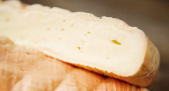 Recall of cheeses in listeria by Carrefour