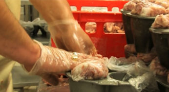 Ham cooked to listeria