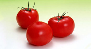 Puree tomatoes in pieces of glass