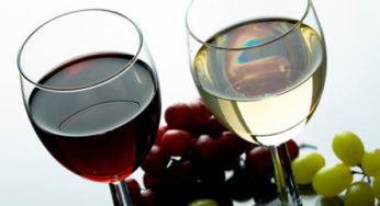 Côtes du Rhône aux morceaux de verre