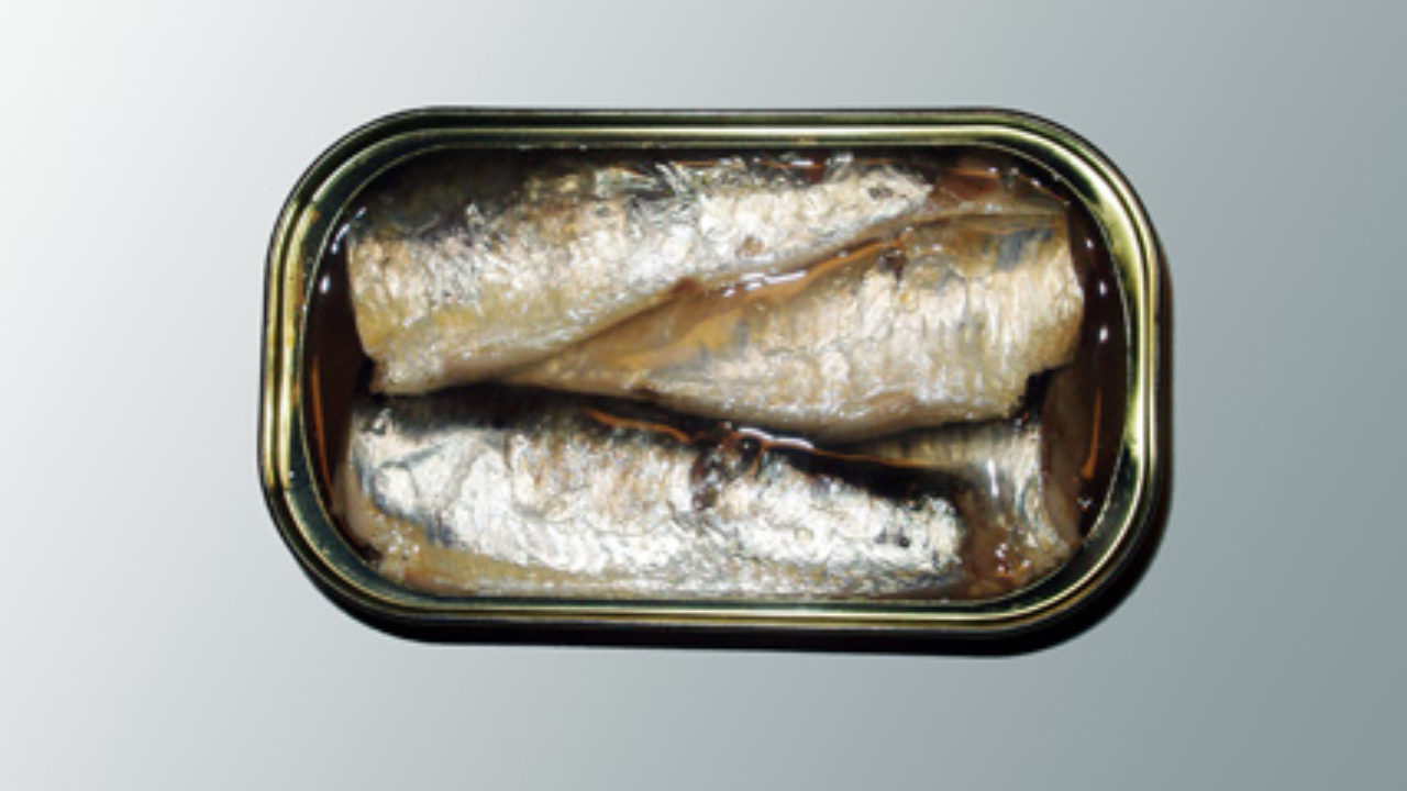 Boite De Sardine Les Sardines En Boite Ont 200 Ans