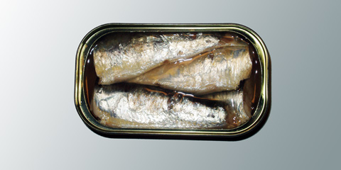 boite-de-sardines-casino