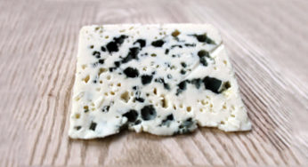 Roquefort PDO to the East. Coli