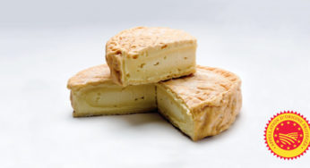 Munster Géromé PDO to Listeria