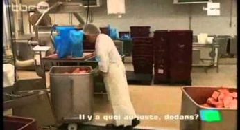 Fabrication de la fricadelle