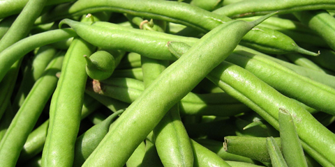 Haricots Verts