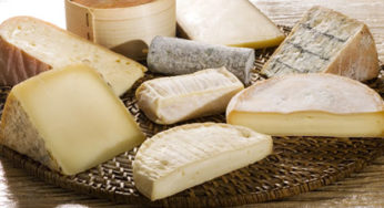 Cheeses in Listeria in Finistère