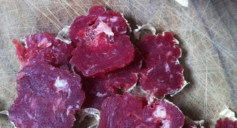 Salami salmonella