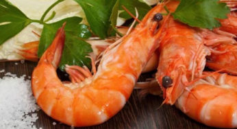 Rappel de Gambas chez Carrefour