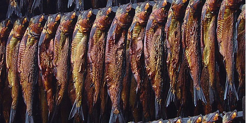 Smoked herring