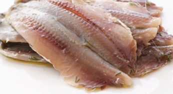 Filets d’anchois à l’histamine