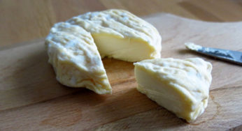 Saint-Marcellin Bio to Listeria