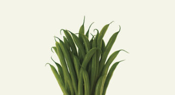 Green beans with bits of glass