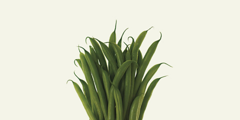 Haricots Verts