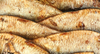 Rappel de Sprats Fumés chez Auchan