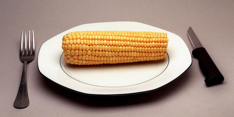 No GMO Corn