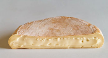 Reblochon cheeses salmonella ?