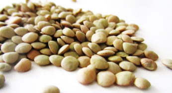 Recall : Canned lentils