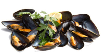 Mussels in oil ?
