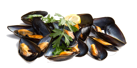 Mussels