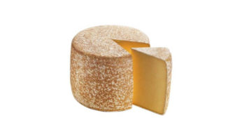 Cantal à l’E.Coli