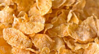 Cornflakes aux Mycotoxines