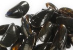 Moules