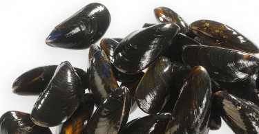 Moules