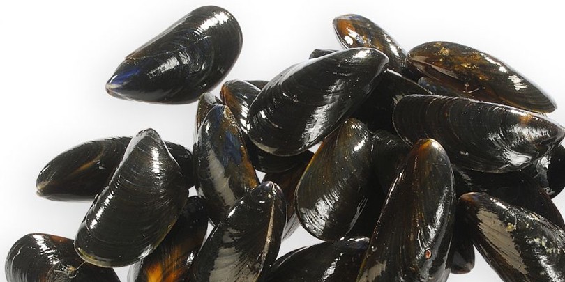 Moules