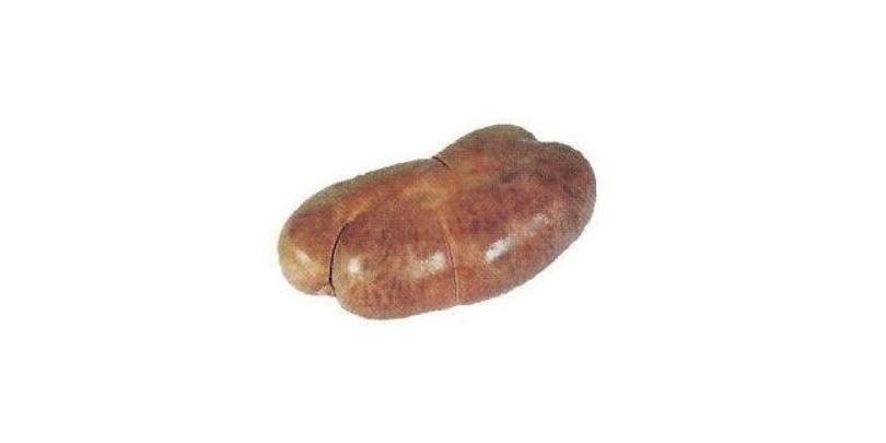 Boudin