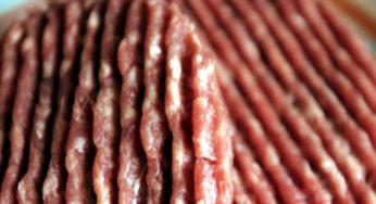 Steaks Hachés Surgelés à l’E.Coli