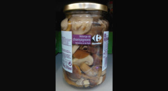 Mushrooms in the pieces of glass jars