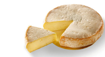Half Reblochon Savoie PDO cheese in E.Coli
