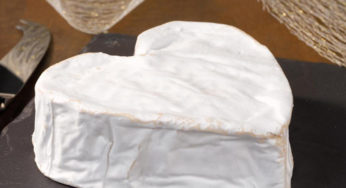 Listeria : Certains fromages Neufchâtel AOP contaminés