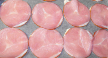 Rappel de Bacon